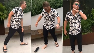 David Warner Grooves to Pushpa Song Srivalli; Australian Ace Cricketer Slays in Allu Arjun’s Dance Moves (Watch Video)