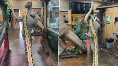 Man Carries Giant Python on Shoulder, Shocking Snake Video is Not For The Faint-Hearted!