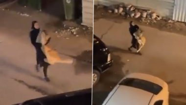 Kuwait Woman Carries Lion In Arms, Shocking Video of Bizarre Incident Triggers Panic in Neighbourhood