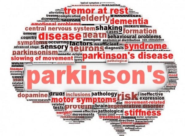 Health News | Study Reveals Flavonoids Might Reduce Risk of Death in Parkinson's Disease Patients