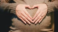 Health News | Study Finds Effects of Pregnancy on Kidneys Revealed by Computational Models