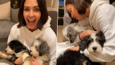 Jessica Alba Welcomes New Puppies in Her House and They are Super Adorable! (Watch Video)