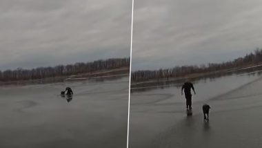 Watch: New York Police Officer Sprints Across Partially Frozen Lake To Save A Dog in Heart-Melting Viral Video