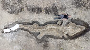 Sea Dragon Fossil Video Goes Viral! Watch Rare 180-Million-Year-Old Ichthyosaur Fossil Discovered in UK Reservoir