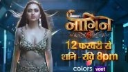 Naagin 6 Promo: Tejasswi Prakash As Naagin To Save The World; Ekta Kapoor&rsquo;s Show To Go On Air From February 12 (Watch Video)