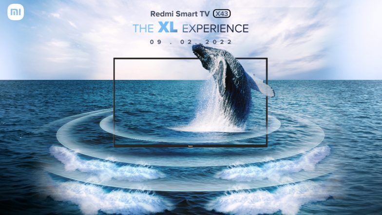 Redmi Smart TV X43