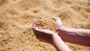 Science News | Study Finds Fermented Soybeans Suppress Asthma-induced Airway Inflammation