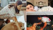 From Anushka Sharma to Pulkit Samrat; Meet These Bollywood Celebrity Pet Parents! (View Pics)