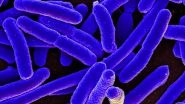Science News | Study Finds Socio-economic Status of Kids May Impact Microorganisms in Digestive Tract