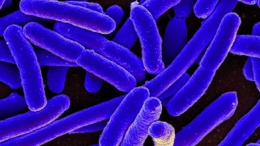 Science News | Study Finds Socio-economic Status of Kids May Impact Microorganisms in Digestive Tract