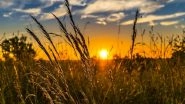 Science News | Regions Growing Coffee, Cashews, Avocados to Shift Due to Climate Change: Study