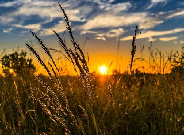 Science News | Regions Growing Coffee, Cashews, Avocados to Shift Due to Climate Change: Study