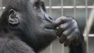 Science News | Study Finds Zoos Might Be Able to Improve Lives of Animals