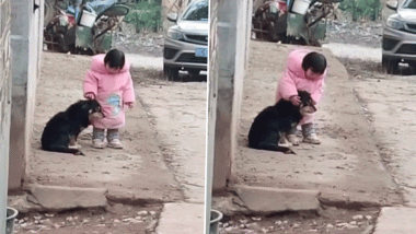 Viral Video of Kid Covering Dog's Ear to Keep It Calm During Fireworks Is The Best Thing You Will See on Internet Today!