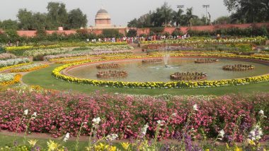 Mughal Gardens in Delhi to Open For General Public From February 12 to March 16