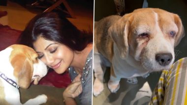 Shilpa Shetty Mourns the Loss of Her Pet Dog; Actress Pays an Emotional Tribute to Her ‘First Baby’ (Watch Video)
