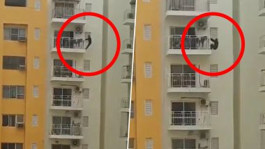 Watch Dangerous Stunt Video of a Man Working Out By Hanging From 12th Floor Balcony in Faridabad