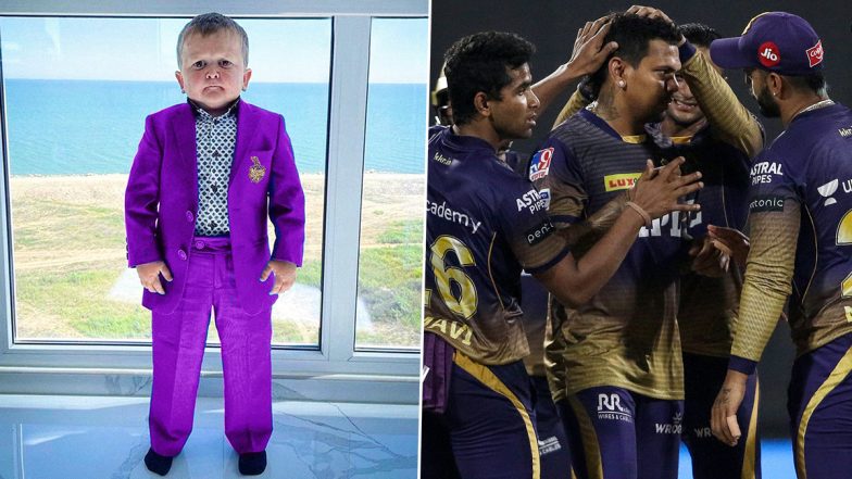 Ready for IPL 2022 Auction: KKR Use Hasbulla’s Photo As They Get Ready for Bidding War