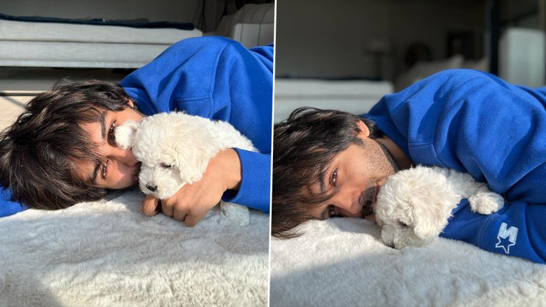 Kartik Aaryan Shares Glimpse of His ‘Relaxing Sunday’ With His Cute Pup Katori (View Pics)
