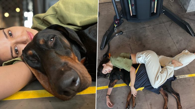 Disha Patani Lazes Around and Spends Some Cute Moments With Her Four-Legged Buddies (View Pics)