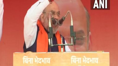 Uttar Pradesh Assembly Elections 2022: PM Narendra Modi, CM Yogi Adityanath Got People of UP Rid of Mosquitoes, Mafias, Says Amit Shah