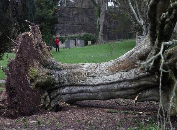 Storm Eunice: 4 Dead, 6 Injured in Poland as Cyclonic Storm Wrecks Havoc