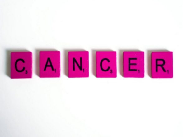 Science News | Novel Magnetic Seeds Developed to Kill Cancer: Study - Vimarsana News
