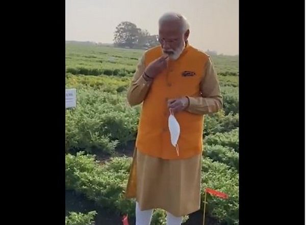 PM Narendra Modi Visits ICRISAT Campus, Tastes ‘Chana’ Direct From Farm (Watch Video)