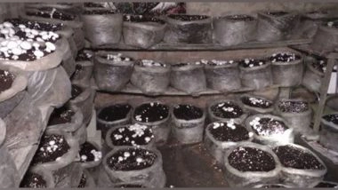 India News | J-K Youth Who Quit Job Two Years Ago to Become Independent Now Owns Mushroom Farm in Kupwara