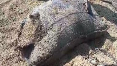 India News | Haryana: Foodgrains Worth Crores of Rupees Damaged in Karnal Godown