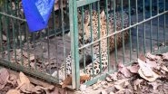 India News | Leopard Rescued in Assam's Guwahati