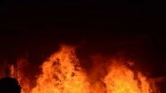 Delhi Plastic Factory Fire: One Killed After Massive Fire Breaks Out at Factory in Bawana