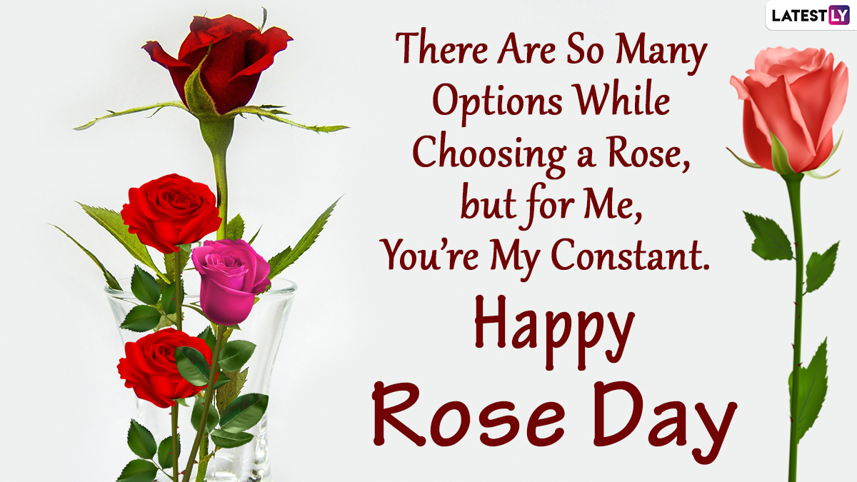 Happy Rose Day 2022 Wishes & Greetings: Send Quotes, Beautiful Rose ...