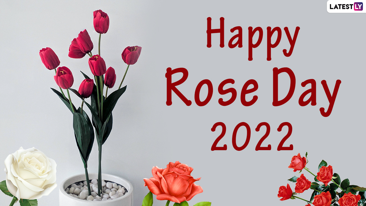 Festivals & Events News | Rose Day 2022 Wishes, Greetings, HD ...