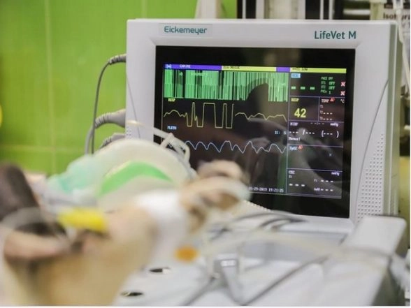 Heart Inflammation Risk Post COVID-19 Vaccination is Rare: Lancent Respiratory Medicine