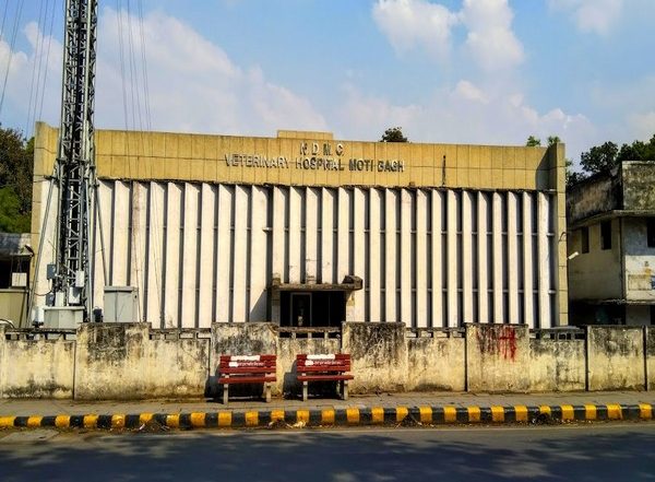 India News | NDMC to Develop Veterinary Hospital with All Modern Facilities for Stray Animals, Pets Under One Roof