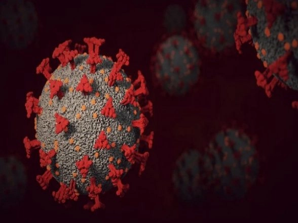 More Contagious Version of Omicron Spreading in US: Report