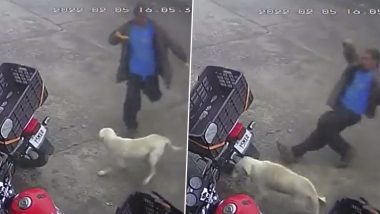 Karma Is A Boomerang! Man Tries To Hit Stray Dog But Slips And Falls Hard on His Back, Watch Viral Video