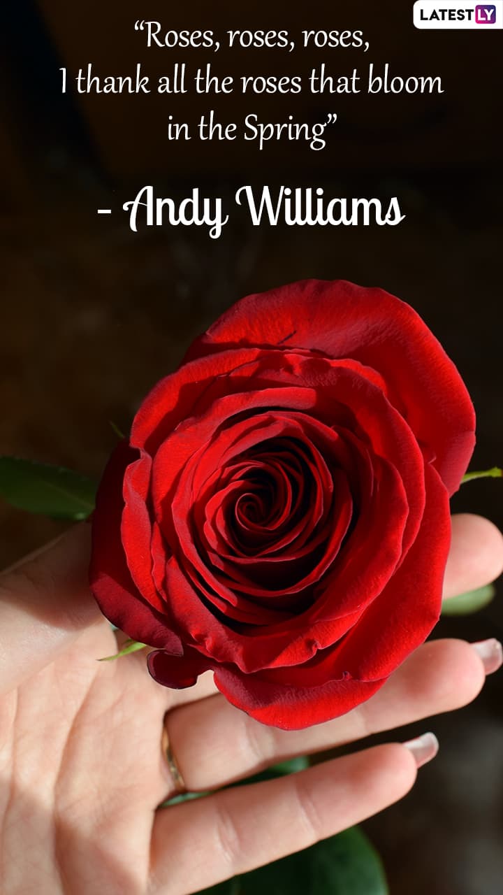 Rose Day 2022 Beautiful Quotes On Roses And Love That Will Make You 