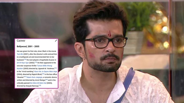 Raqesh Bapat’s Bollywood Career Is a ‘Disaster’ Per His Edited Wiki Page, and We Wonder Who Hates Him So Much! (View Pic)