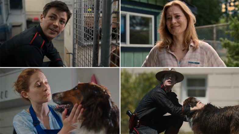 Rescued by Ruby Trailer: Grant Gustin Is in Search for a Dog To Adopt in This Beautiful Story (Watch Video)