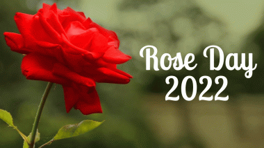 Rose Day 2022 Date in Valentine Week: Know Why Rose Day is Celebrated as First Day in Love Week And Significance of The Flower