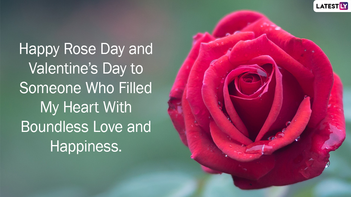 Rose Day Images & Valentine’s Day in Advance HD Wallpapers for Free ...