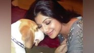 Entertainment News | Shilpa Shetty Mourns the Death of Her Dog Princess