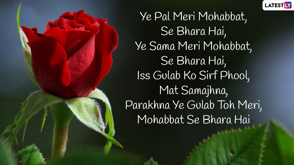 7th Feb Happy Rose Day Images in Hindi English, Gulab Shayari Msg
