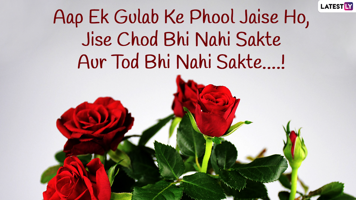 Rose Day 2022 Shayari & Love Messages: Romantic Quotes, WhatsApp ...