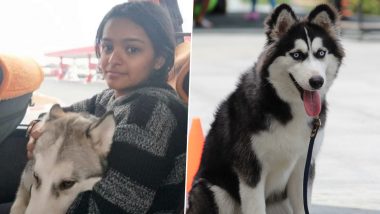 Arya Aldrin, Indian Medical Student in Ukraine, Refuses To Leave Behind Her 5-Year-Old Siberian Husky 'Zairaa'