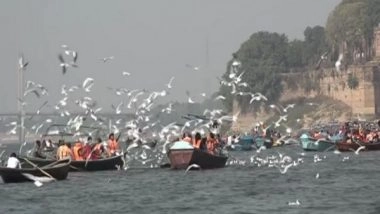 India News | Siberian Birds Flock to Sangam, Attract Tourists to Prayagraj