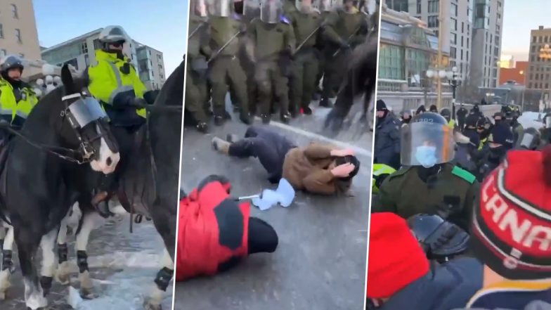 Canada Protest: Ottawa Mounted Police Charge Horses Into Crowd, Disabled Elderly Woman Using Walker Trampled (Watch Video)