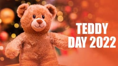 teddy day in valentine week